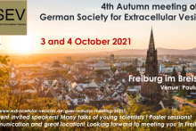 4th autumn meeting of the German Society for Extracellular Vesicles