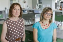 Dr Małgorzata Czystowska-Kuźmicz i Dr Beata Pyrzyńska